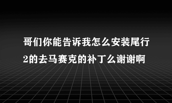 哥们你能告诉我怎么安装尾行2的去马赛克的补丁么谢谢啊