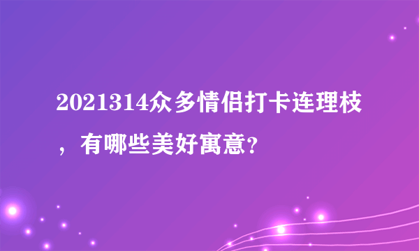 2021314众多情侣打卡连理枝，有哪些美好寓意？