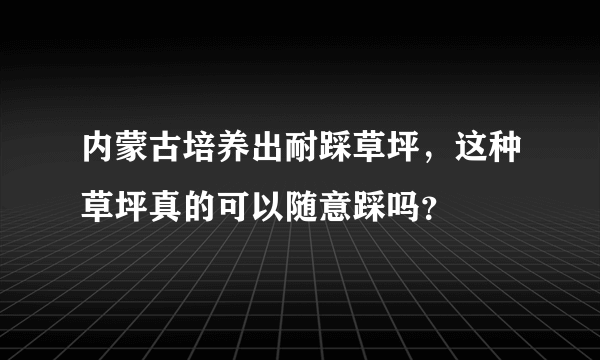 内蒙古培养出耐踩草坪，这种草坪真的可以随意踩吗？