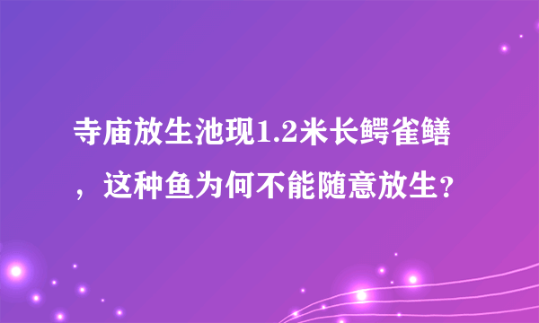 寺庙放生池现1.2米长鳄雀鳝，这种鱼为何不能随意放生？