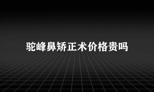 驼峰鼻矫正术价格贵吗