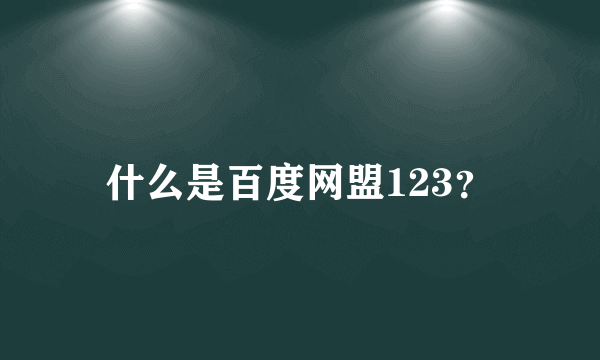 什么是百度网盟123？