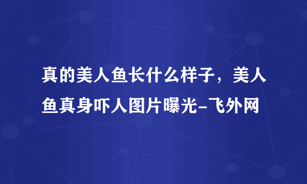 真的美人鱼长什么样子，美人鱼真身吓人图片曝光-飞外网