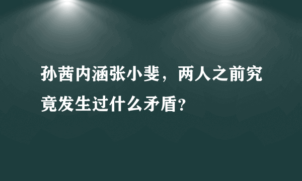 孙茜内涵张小斐，两人之前究竟发生过什么矛盾？