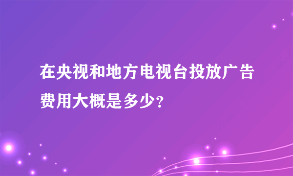 在央视和地方电视台投放广告费用大概是多少？