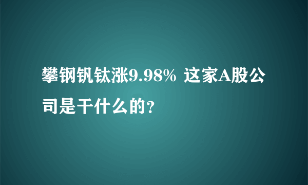 攀钢钒钛涨9.98% 这家A股公司是干什么的？