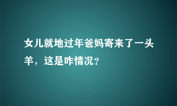 女儿就地过年爸妈寄来了一头羊，这是咋情况？