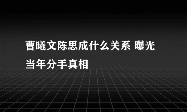 曹曦文陈思成什么关系 曝光当年分手真相