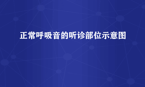 正常呼吸音的听诊部位示意图