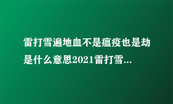 雷打雪遍地血不是瘟疫也是劫是什么意思2021雷打雪预示什么大事件发生-飞外网