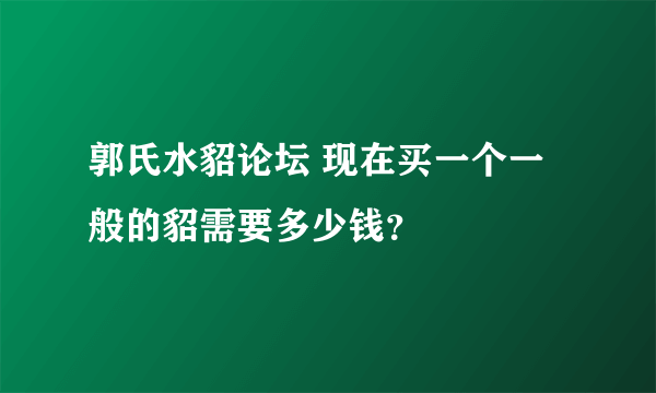 郭氏水貂论坛 现在买一个一般的貂需要多少钱？