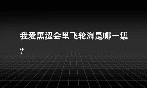 我爱黑涩会里飞轮海是哪一集？