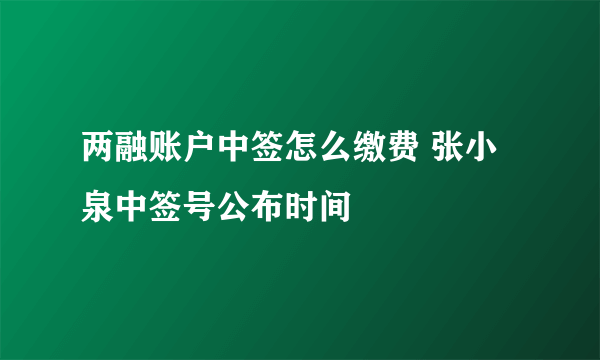 两融账户中签怎么缴费 张小泉中签号公布时间