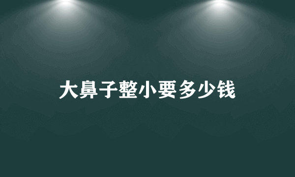 大鼻子整小要多少钱