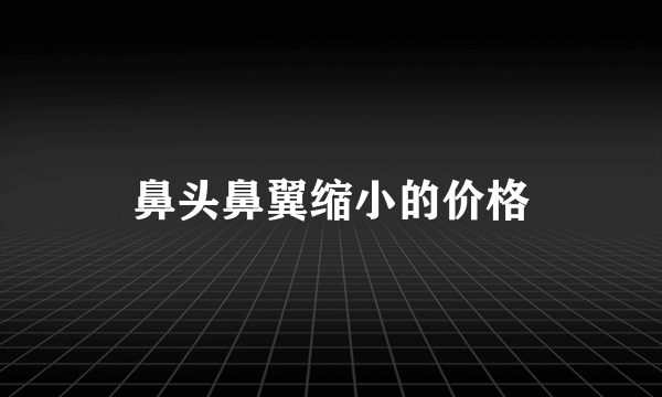 鼻头鼻翼缩小的价格