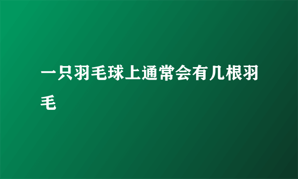 一只羽毛球上通常会有几根羽毛