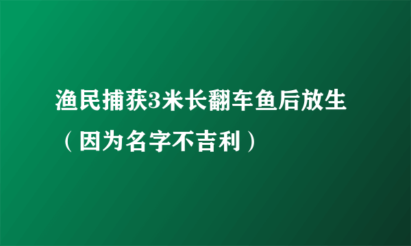 渔民捕获3米长翻车鱼后放生（因为名字不吉利）