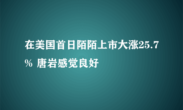 在美国首日陌陌上市大涨25.7% 唐岩感觉良好