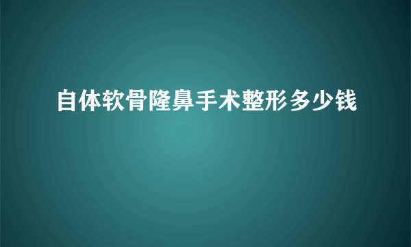 自体软骨隆鼻手术整形多少钱