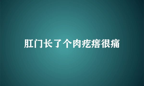 肛门长了个肉疙瘩很痛