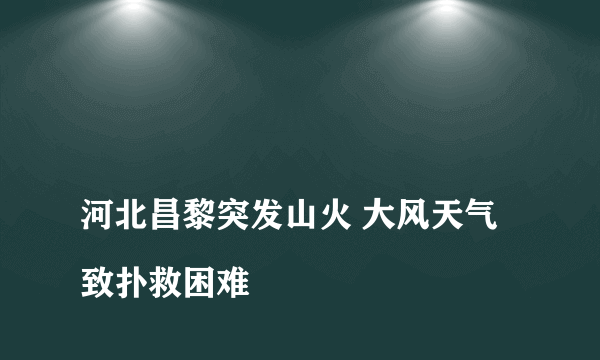 
河北昌黎突发山火 大风天气致扑救困难
