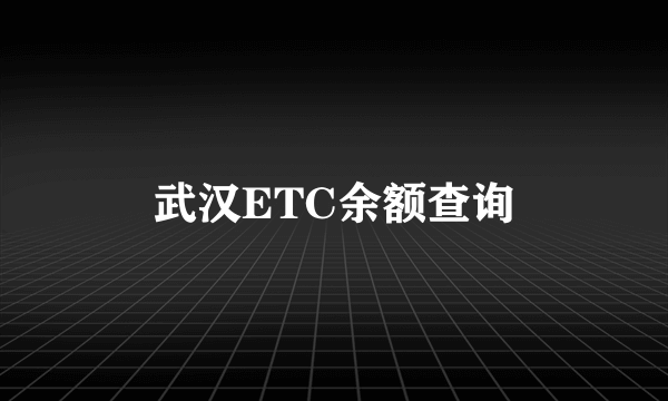 武汉ETC余额查询