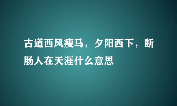 古道西风瘦马，夕阳西下，断肠人在天涯什么意思