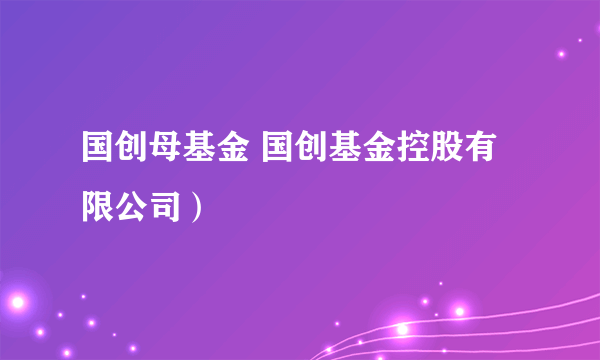 国创母基金 国创基金控股有限公司）