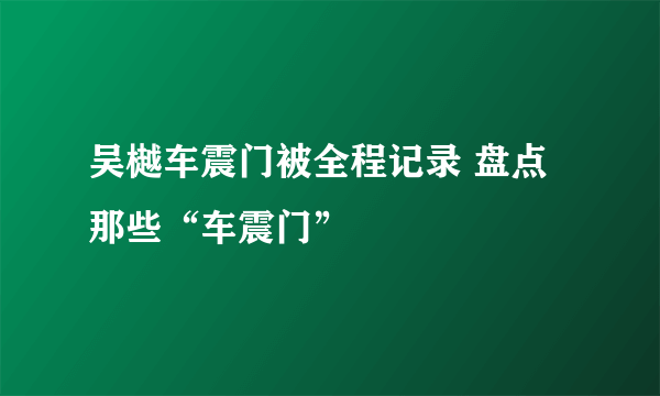 吴樾车震门被全程记录 盘点那些“车震门”