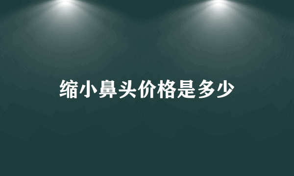 缩小鼻头价格是多少