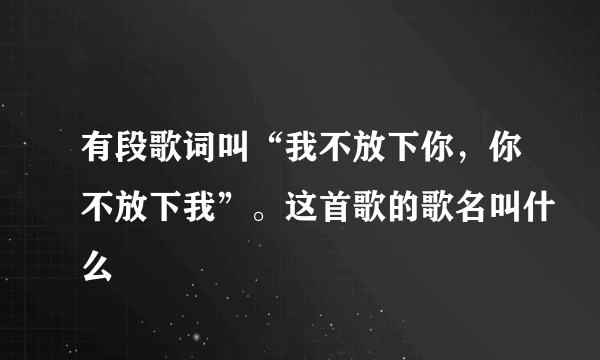 有段歌词叫“我不放下你，你不放下我”。这首歌的歌名叫什么