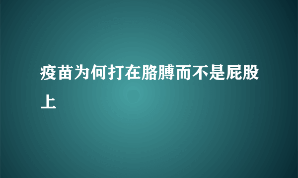 疫苗为何打在胳膊而不是屁股上