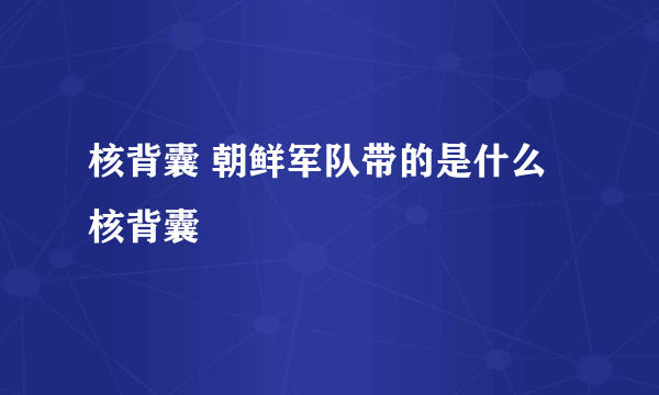 核背囊 朝鲜军队带的是什么核背囊