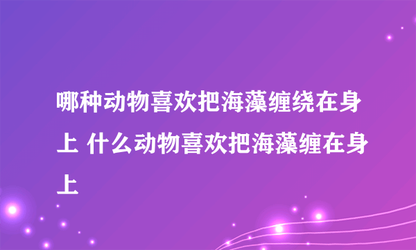 哪种动物喜欢把海藻缠绕在身上 什么动物喜欢把海藻缠在身上