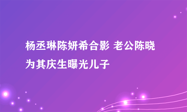 杨丞琳陈妍希合影 老公陈晓为其庆生曝光儿子