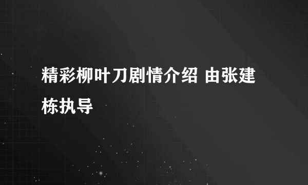 精彩柳叶刀剧情介绍 由张建栋执导