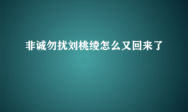 非诚勿扰刘桃绫怎么又回来了