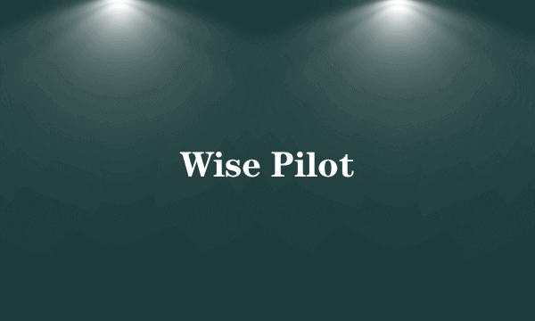 Wise Pilot