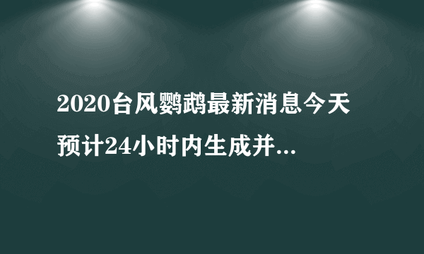 2020台风鹦鹉最新消息今天 预计24小时内生成并于14日袭击广东