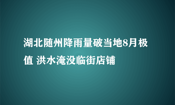 湖北随州降雨量破当地8月极值 洪水淹没临街店铺