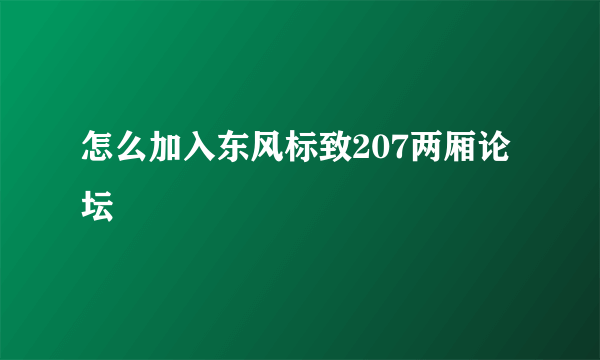 怎么加入东风标致207两厢论坛