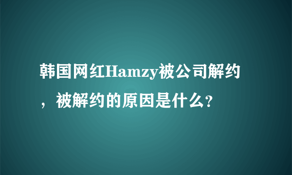 韩国网红Hamzy被公司解约，被解约的原因是什么？