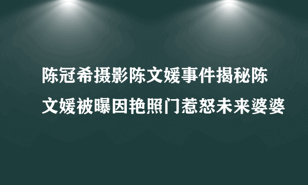 陈冠希摄影陈文媛事件揭秘陈文媛被曝因艳照门惹怒未来婆婆