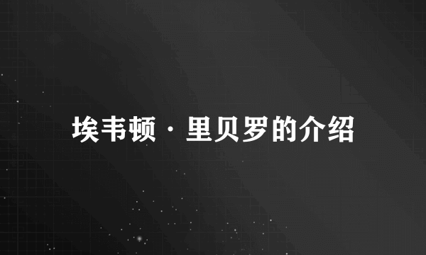 埃韦顿·里贝罗的介绍