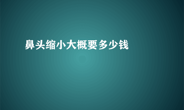 鼻头缩小大概要多少钱			