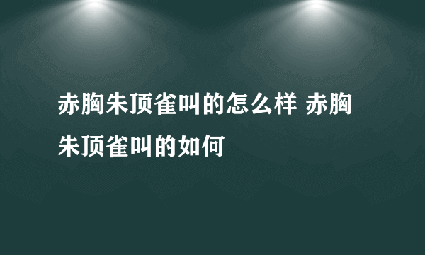 赤胸朱顶雀叫的怎么样 赤胸朱顶雀叫的如何