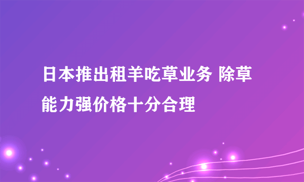 日本推出租羊吃草业务 除草能力强价格十分合理