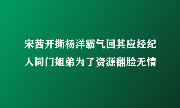 宋茜开撕杨洋霸气回其应经纪人同门姐弟为了资源翻脸无情