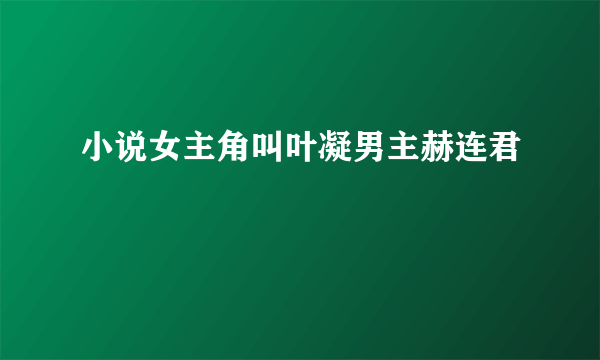 小说女主角叫叶凝男主赫连君