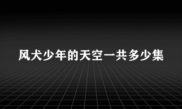 风犬少年的天空一共多少集